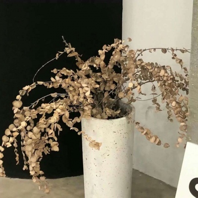 兽设黄昏场景创作FurryQQ群